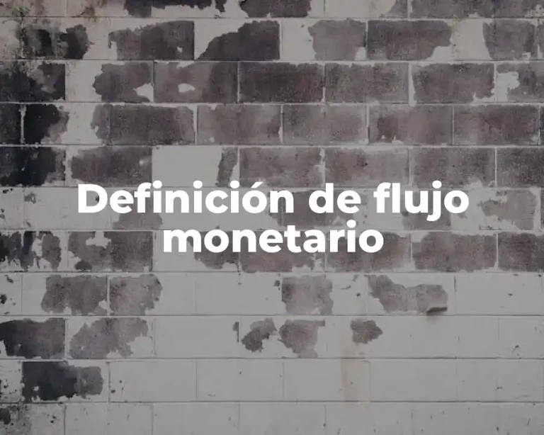 Definición de flujo monetario