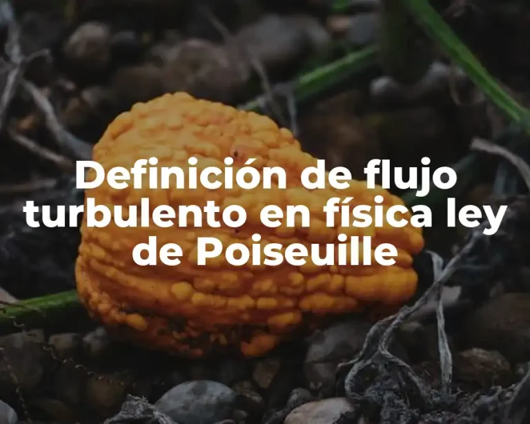 Definición de flujo turbulento en física ley de Poiseuille
