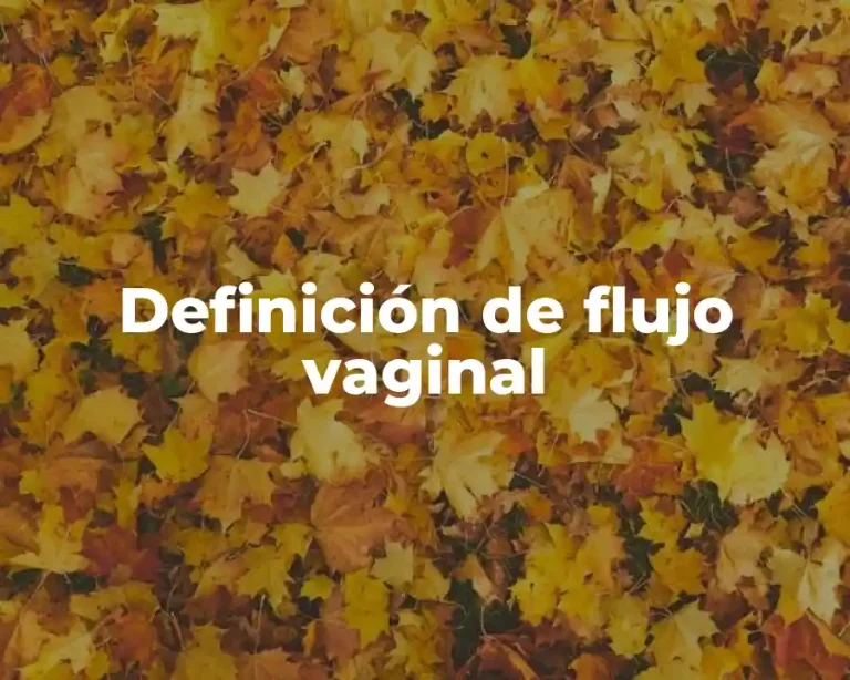 Definición de flujo vaginal