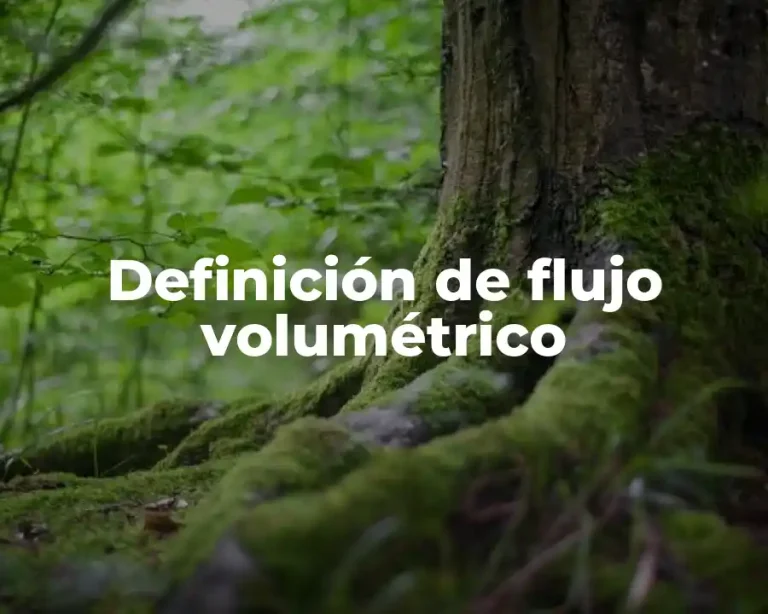 Definición de flujo volumétrico