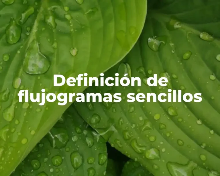 Definición de flujogramas sencillos
