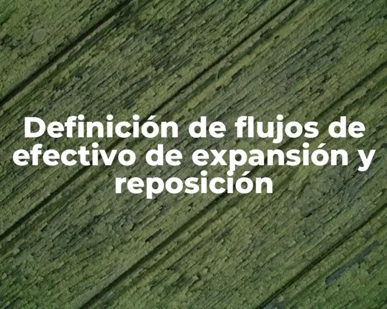 Definición de flujos de efectivo de expansión y reposición