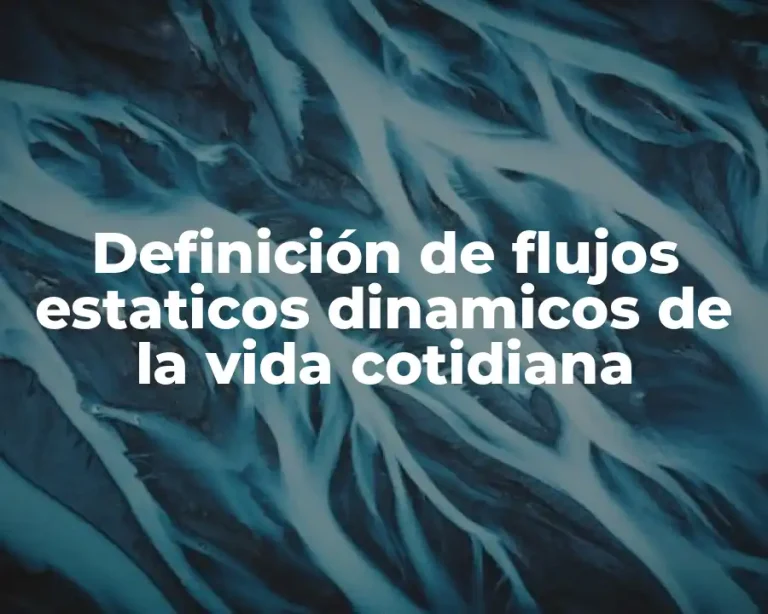Definición de flujos estaticos dinamicos de la vida cotidiana