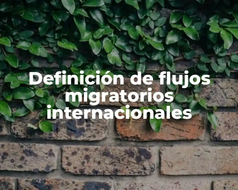 Definición de flujos migratorios internacionales