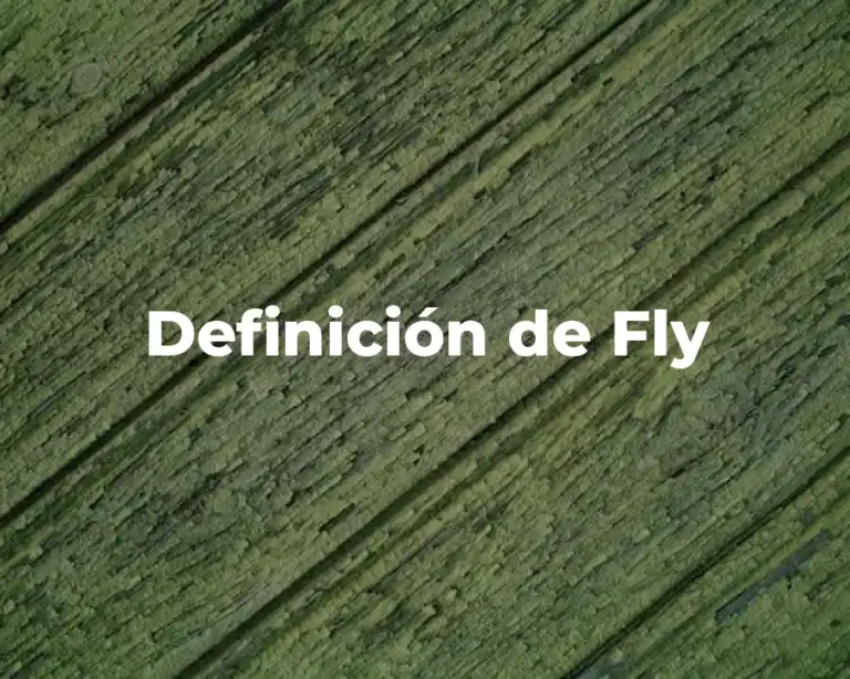 Definición de Fly