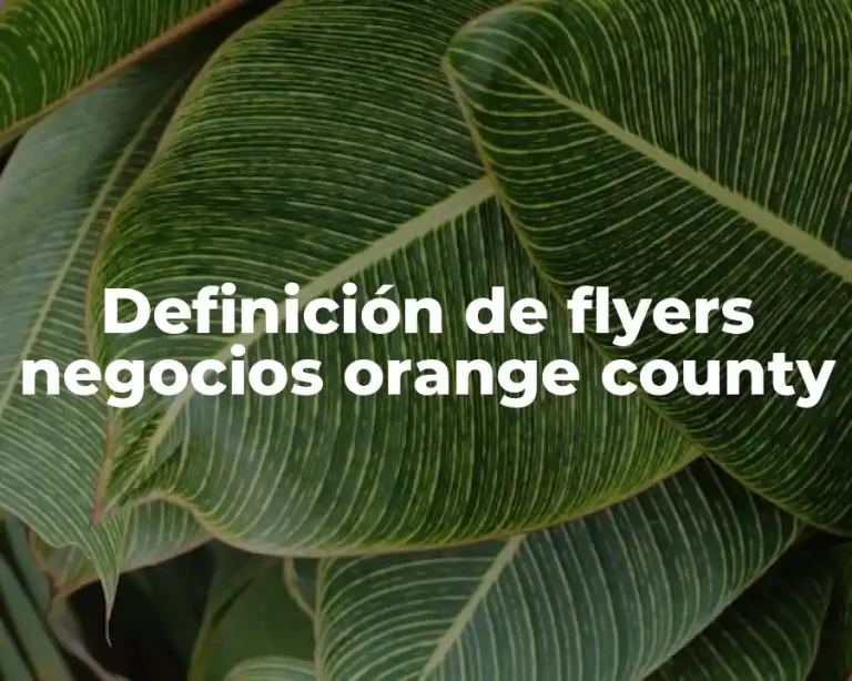 Definición de flyers negocios orange county