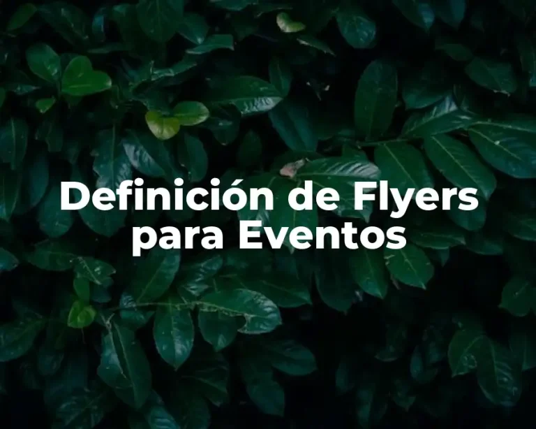 Definición de Flyers para Eventos