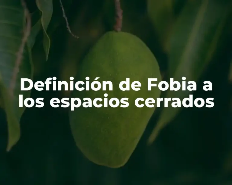 Definición de Fobia a los espacios cerrados
