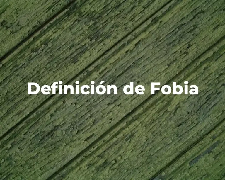 Definición de Fobia