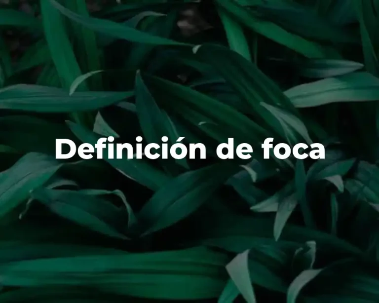 Definición de foca