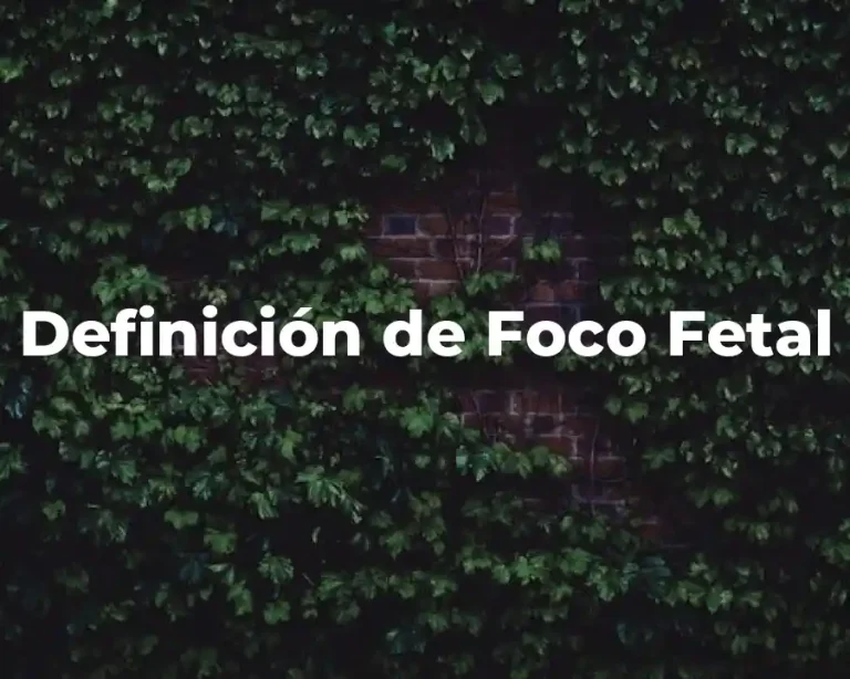 Definición de Foco Fetal