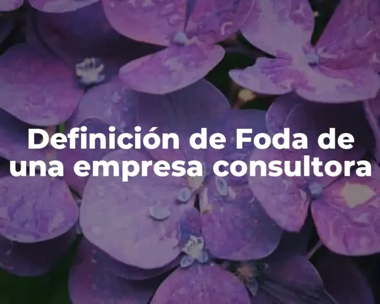 Definición de Foda de una empresa consultora