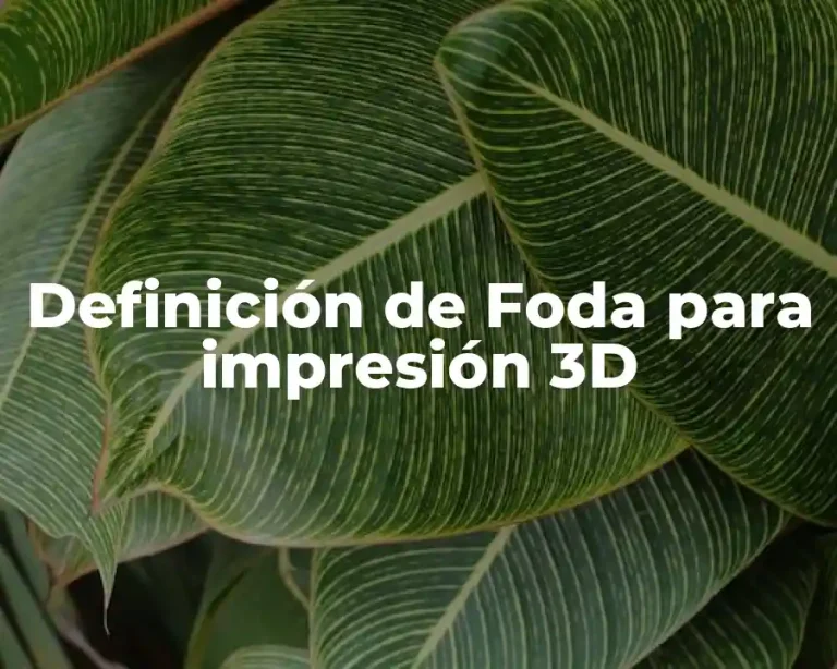 Definición de Foda para impresión 3D