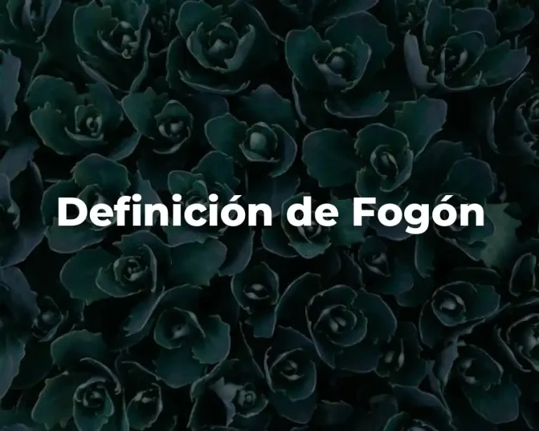 Definición de Fogón