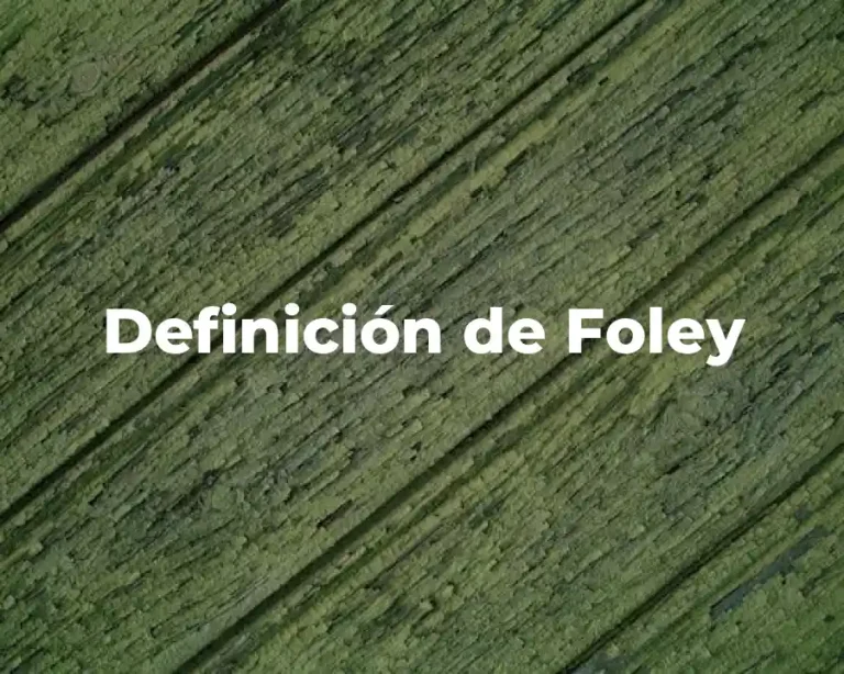 Definición de Foley