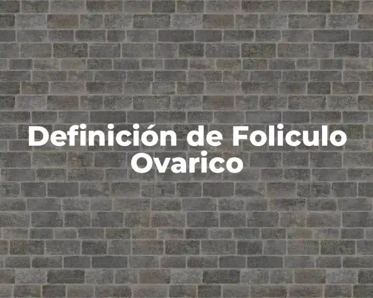 Definición de Foliculo Ovarico