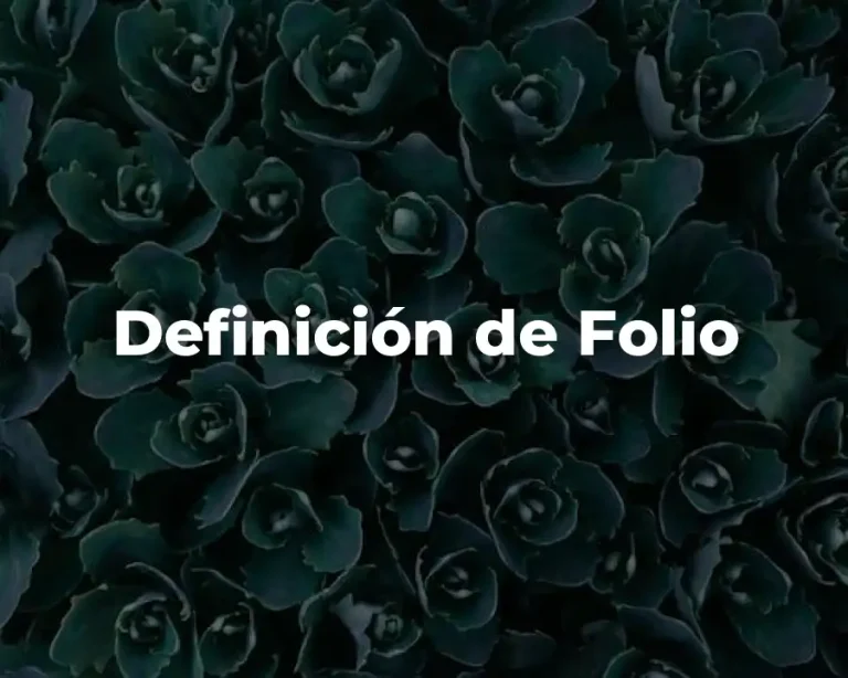 Definición de Folio
