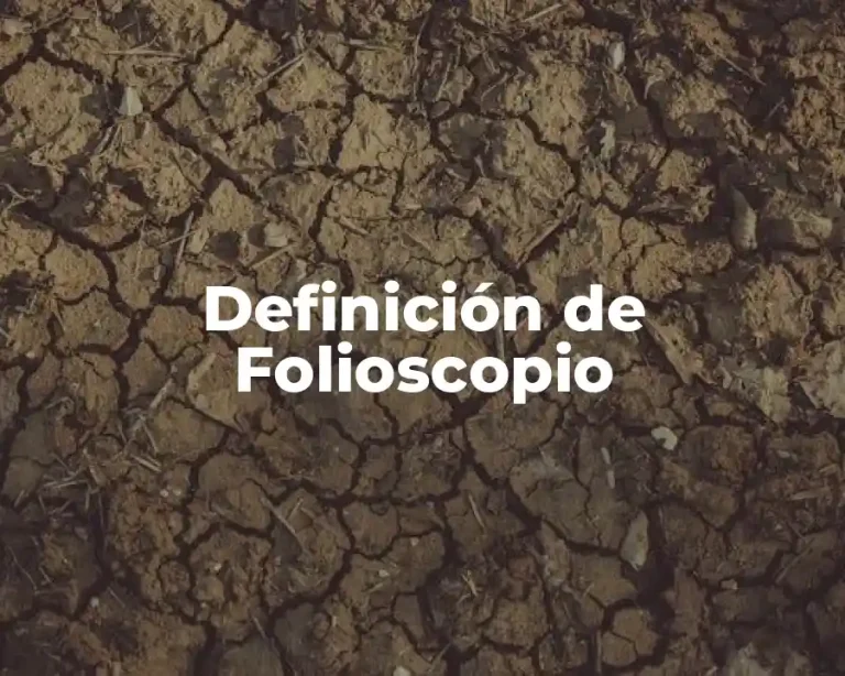 Definición de Folioscopio