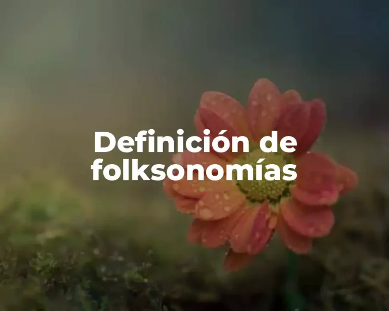 Definición de folksonomías