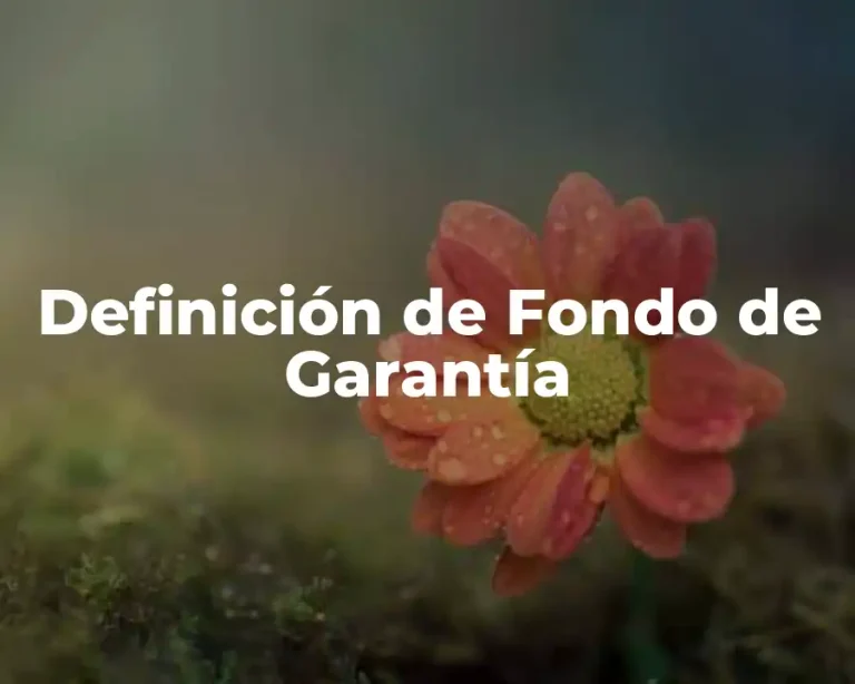 Definición de Fondo de Garantía