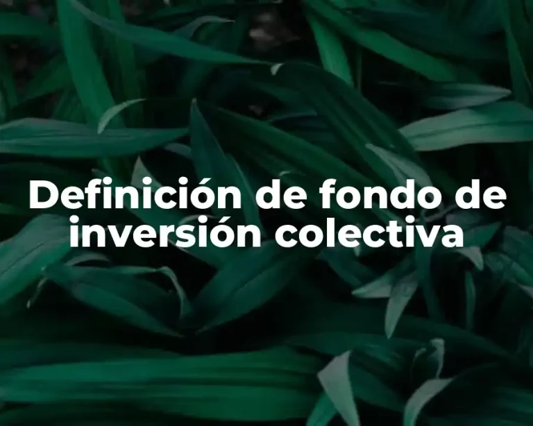 Definición de fondo de inversión colectiva