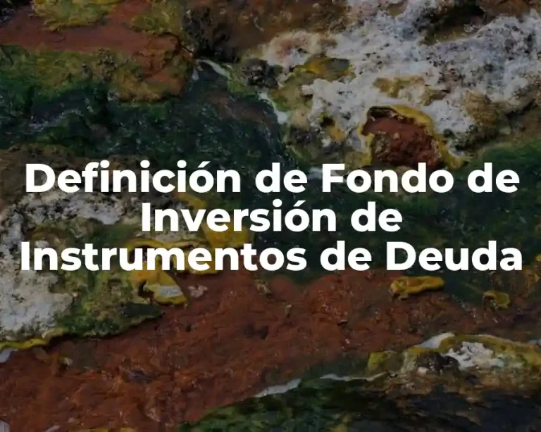 Definición de Fondo de Inversión de Instrumentos de Deuda