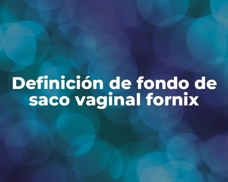 Definición de fondo de saco vaginal fornix