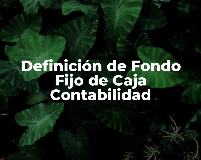 Definición de Fondo Fijo de Caja Contabilidad
