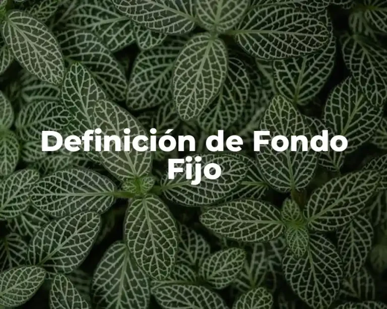 Definición de Fondo Fijo