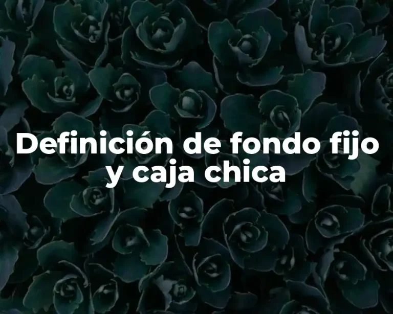 Definición de fondo fijo y caja chica