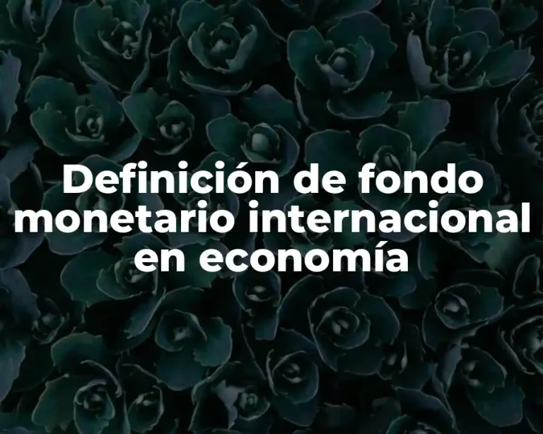 Definición de fondo monetario internacional en economía