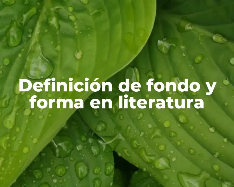 Definición de fondo y forma en literatura