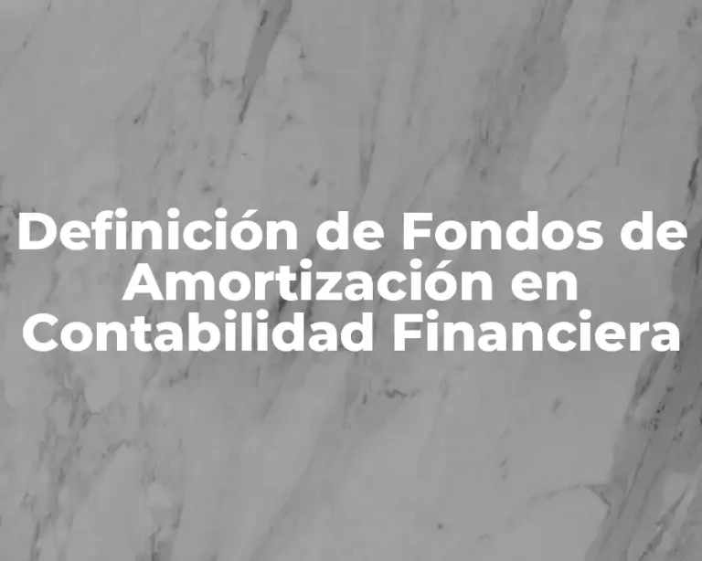 Definición de Fondos de Amortización en Contabilidad Financiera