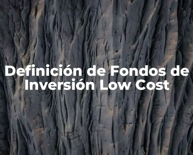 Definición de Fondos de Inversión Low Cost