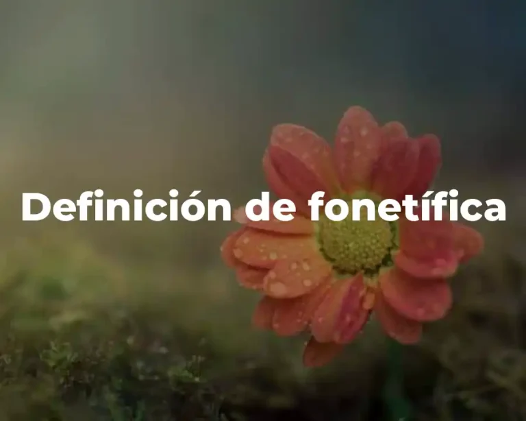 Definición de fonetífica
