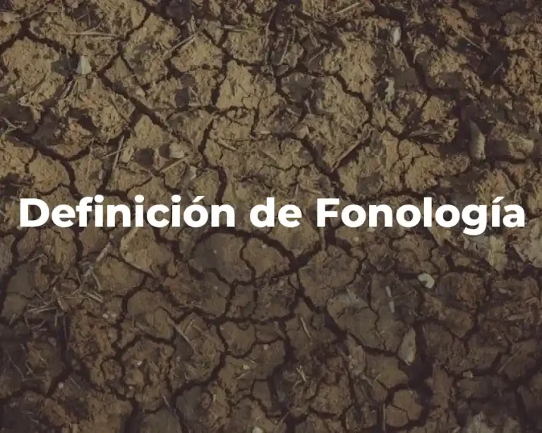 Definición de Fonología