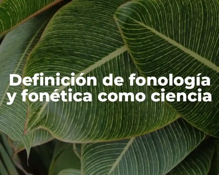 Definición de fonología y fonética como ciencia