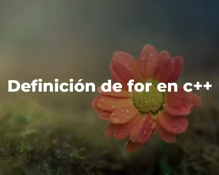 Definición de for en c++