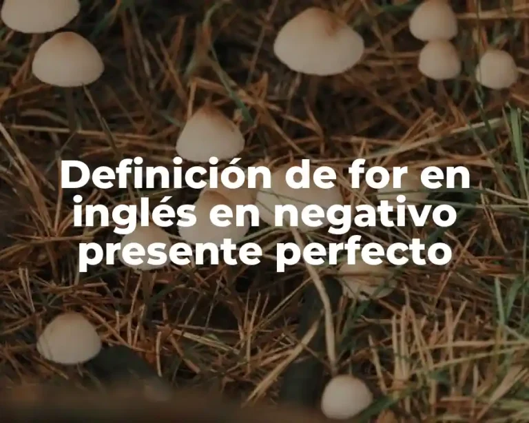Definición de for en inglés en negativo presente perfecto