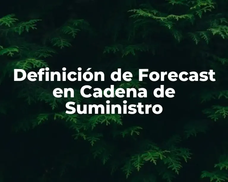 Definición de Forecast en Cadena de Suministro