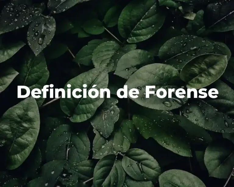 Definición de Forense