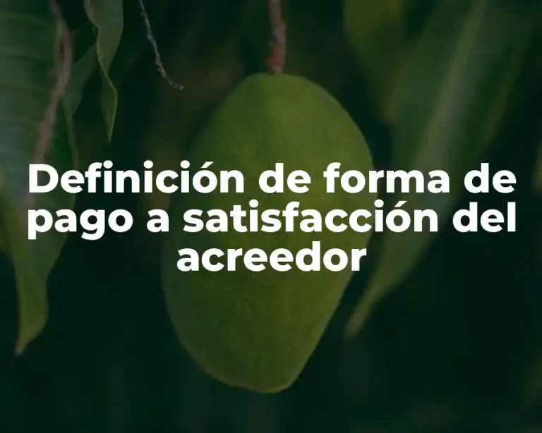 Definición de forma de pago a satisfacción del acreedor