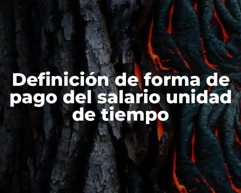 Definición de forma de pago del salario unidad de tiempo