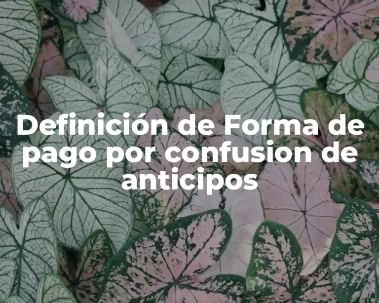 Definición de Forma de pago por confusion de anticipos