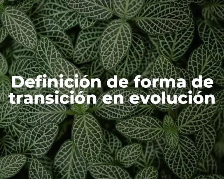 Definición de forma de transición en evolución