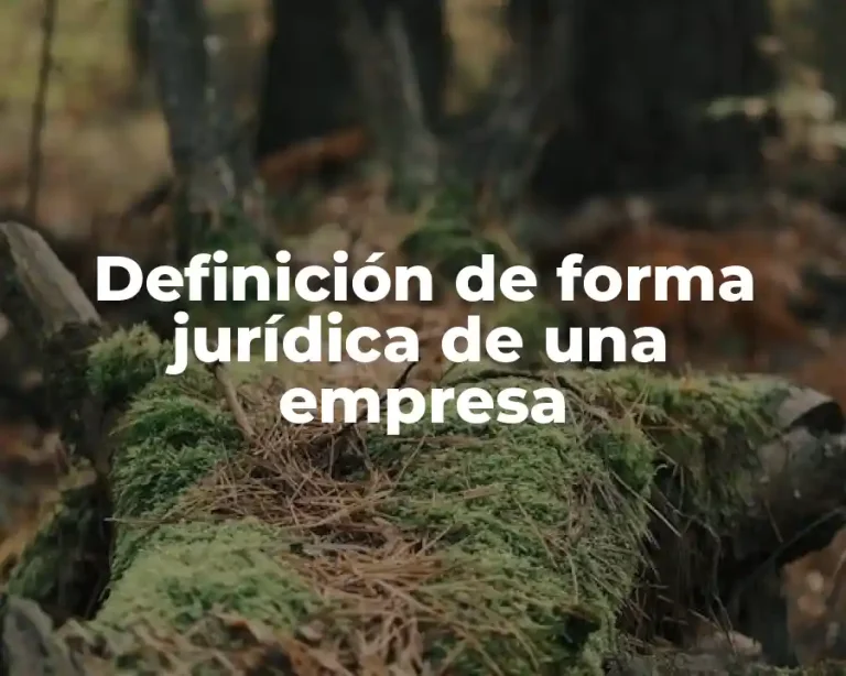 Definición de forma jurídica de una empresa