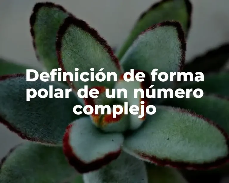 Definición de forma polar de un número complejo
