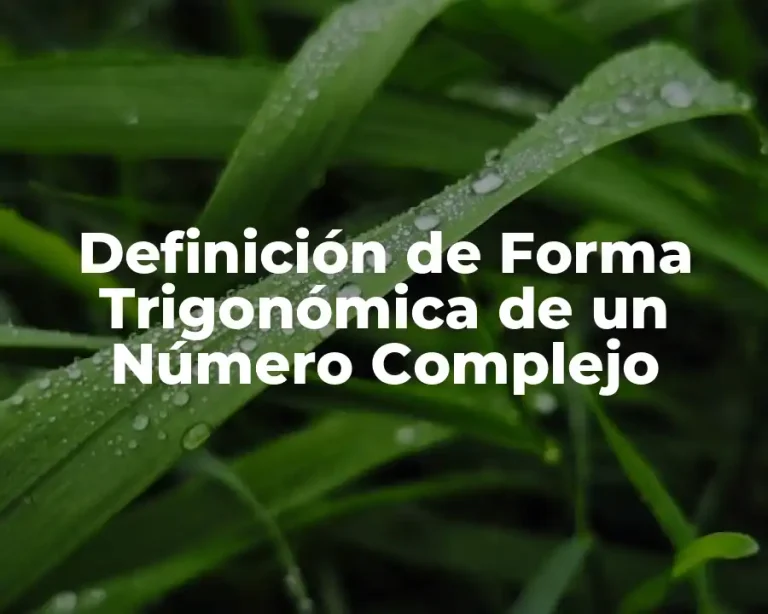 Definición de Forma Trigonómica de un Número Complejo