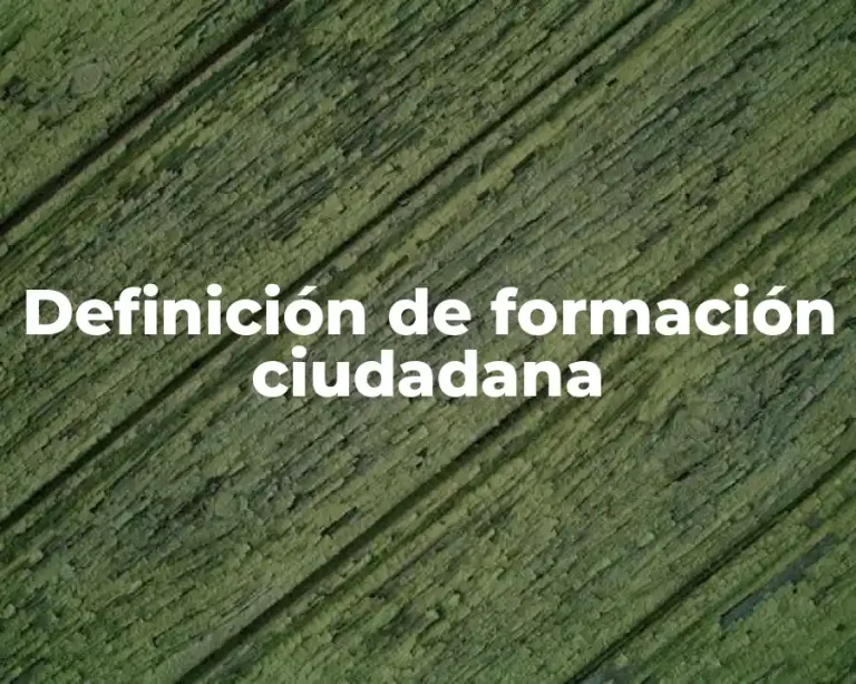 Definición de formación ciudadana