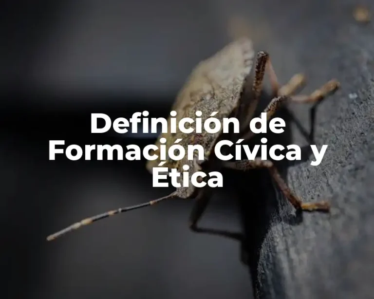 Definición de Formación Cívica y Ética